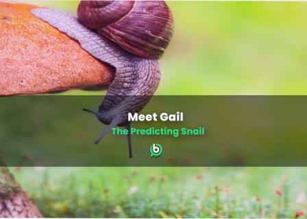 Gail the Snail, BonusFinder's new mascot, poised to predict outcomes of major events like the FIFA World Cup, music contests, and movie premieres